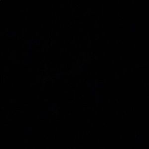 Meet your Posher, Jonah